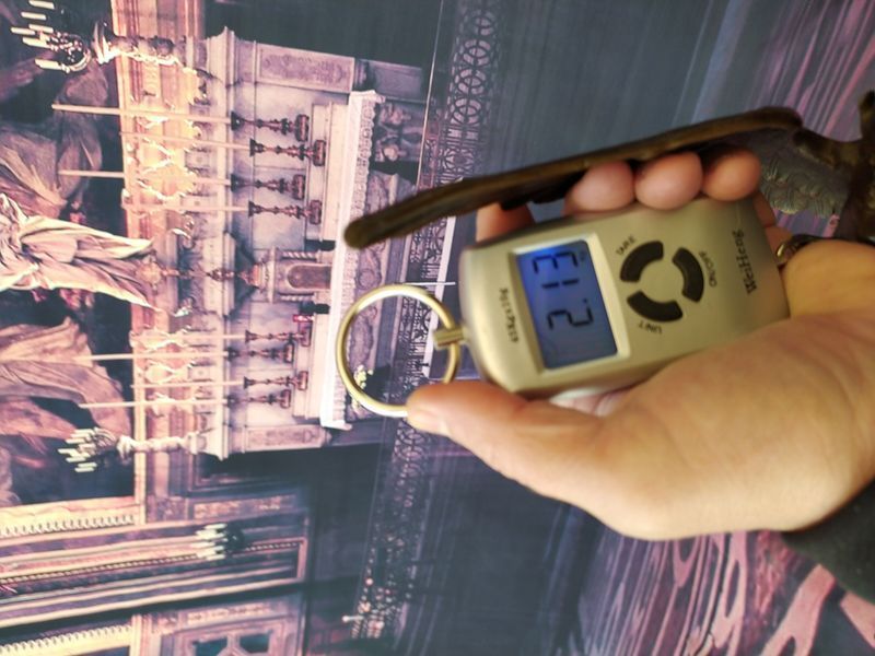 Немезида богиня відплати. Бронзова статуетка скульптура бронза 37 см 00000240 фото